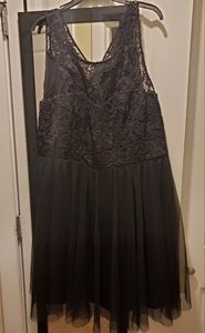 Forever 21 Fit and Flare Lace and Tulle Dress